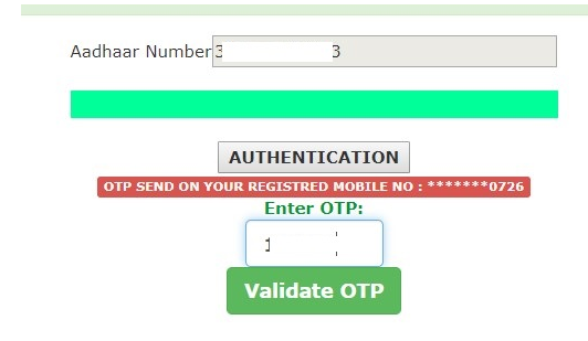 dbt bihar