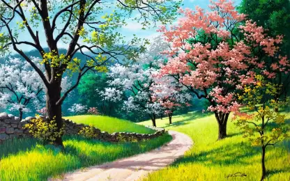 The types of seasons in India and their months1